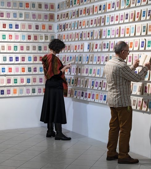 Irena Lagator Pejović, postavka u Radničkom univerzitetu